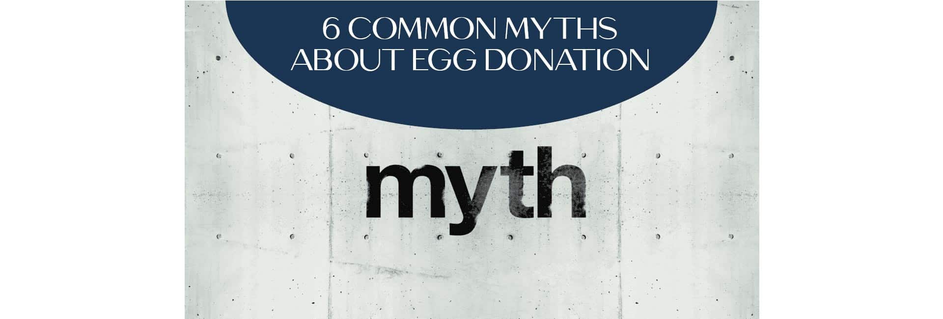 6 Egg Donation Myths Debunked Fairfax EggBank