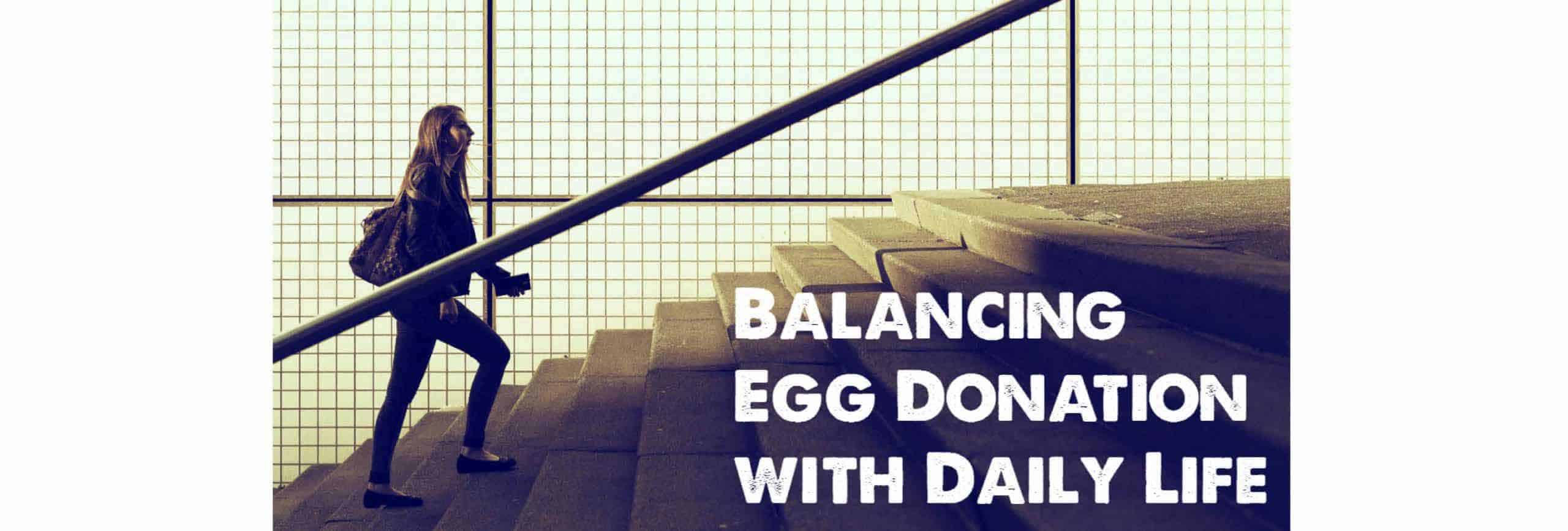 Egg Donation Process Finding Balance Fairfax EggBank