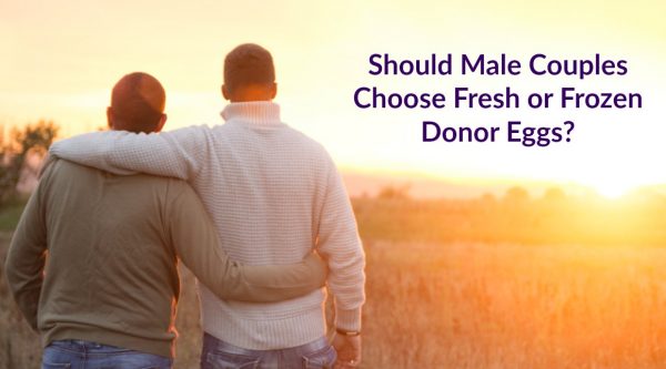 Should gay couples choose fresh or frozen donor eggs for their surrogate?