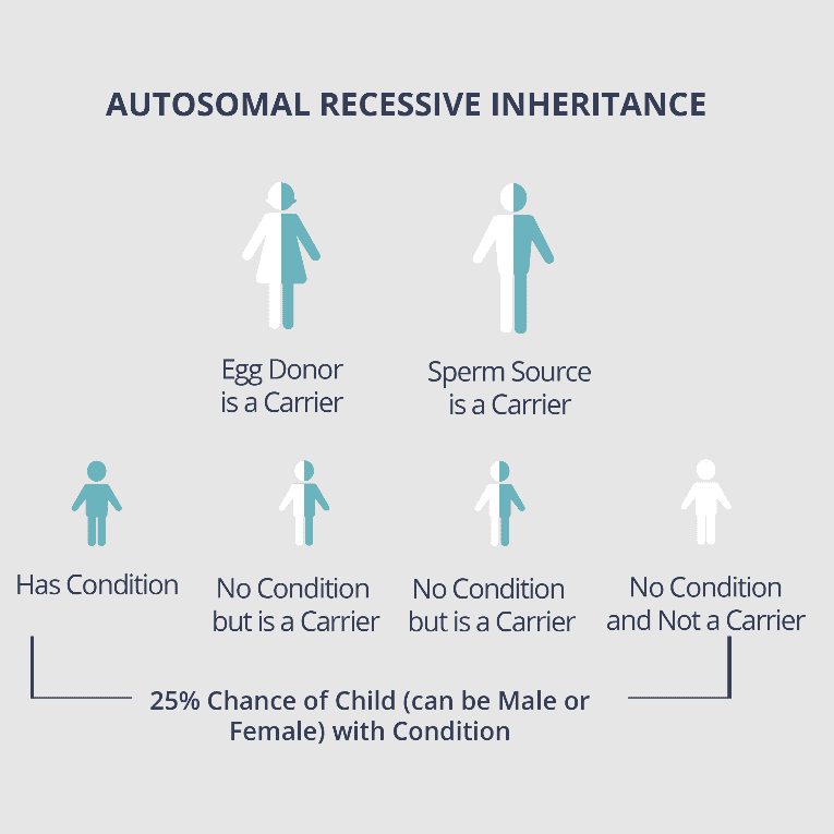 Autosomal Recessive Inheritance Chart