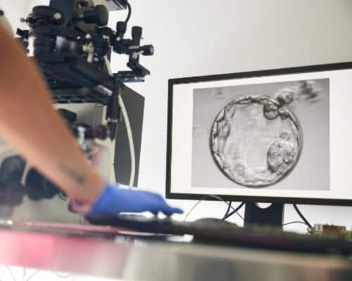 Fairfax EggBank article featured image