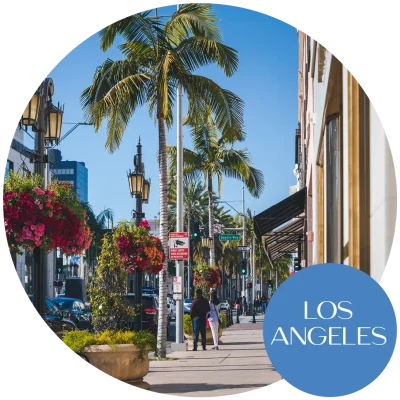 A street in Los Angeles, California lined with palm trees and buildings.
