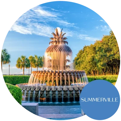 Pineapple water fountain in Charleston, SC, near Greenville. Become an egg donor in South Carolina today!